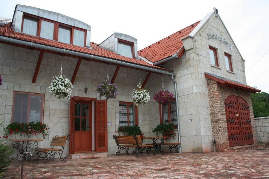 Borgaleria Hotel Tokaj Bagian luar foto